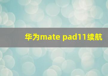 华为mate pad11续航